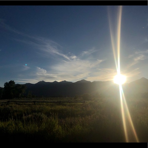 Meet your Posher, Alexandra - Picture 1 of 1